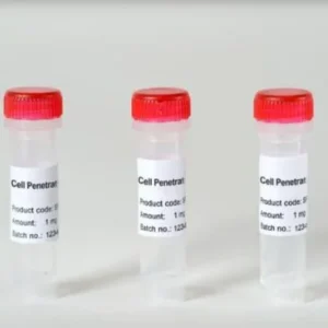 Arg)9 Nona-L-Arginine R9 Peptide